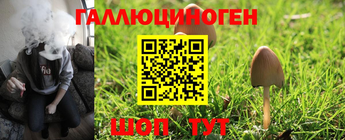 Псилоцибиновые грибы ЛСД Сланцы