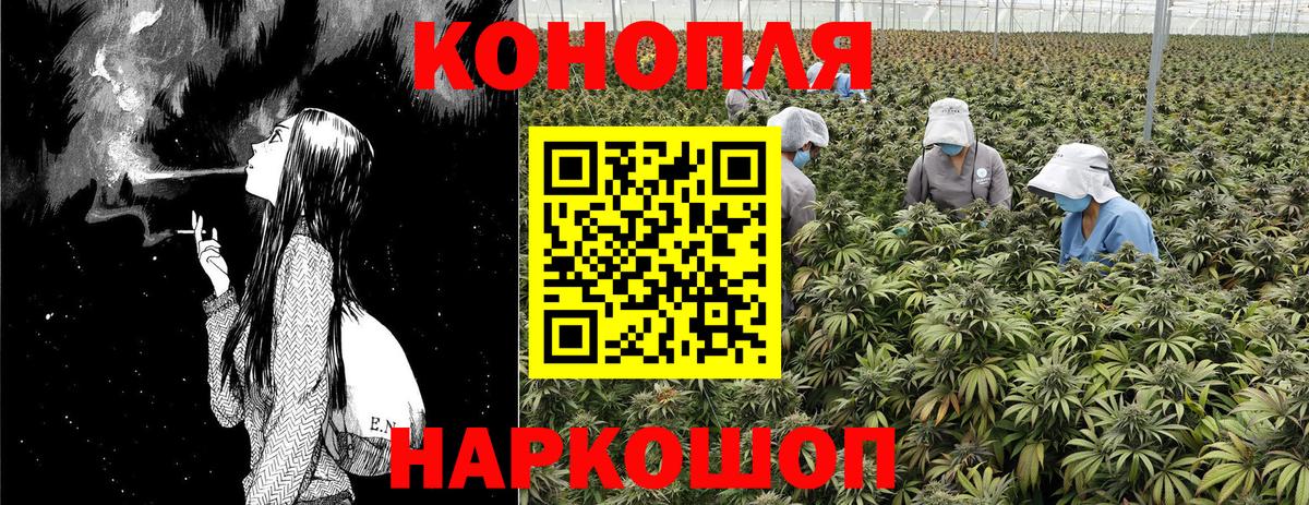 Канабис White Widow  Вход с VPN  Конопля THC 21%  Сланцы 