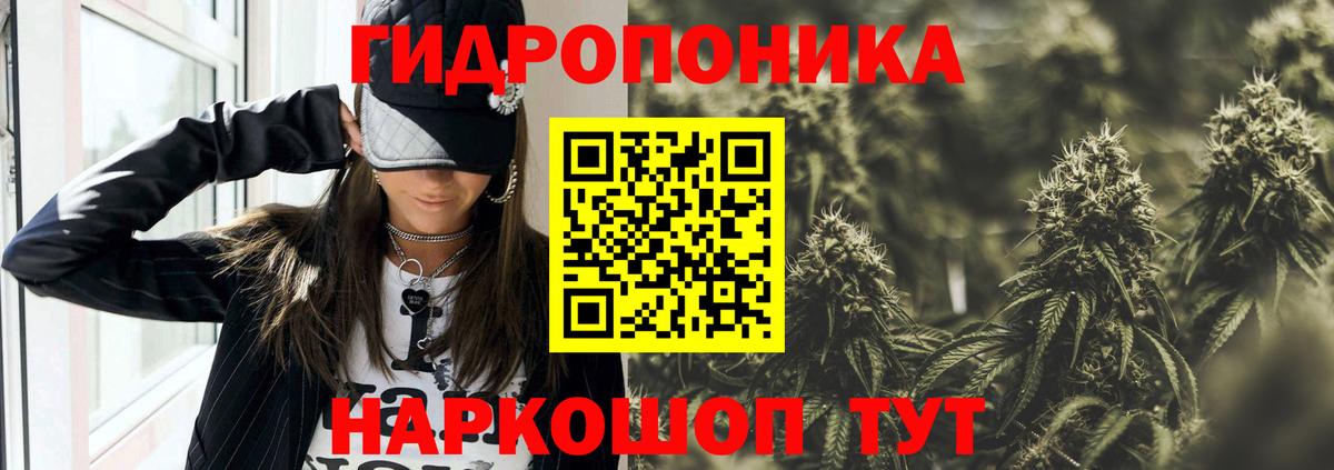 Канабис SATIVA & INDICA Сланцы
